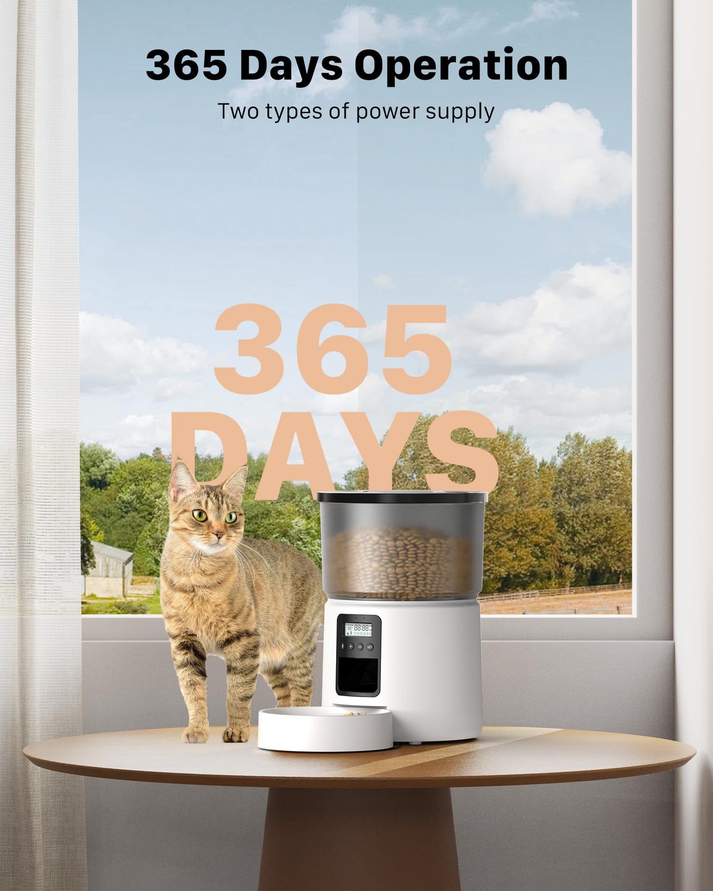 Automatic Cat Feeder Dry Food: Cat Feeder with Timer - Pet Food Dispenser Button Control 1-6 Meals - 3L Auto Dog Bowl with Customize Feeding Schedule - 10s Voice Recorder - Contains Desiccant