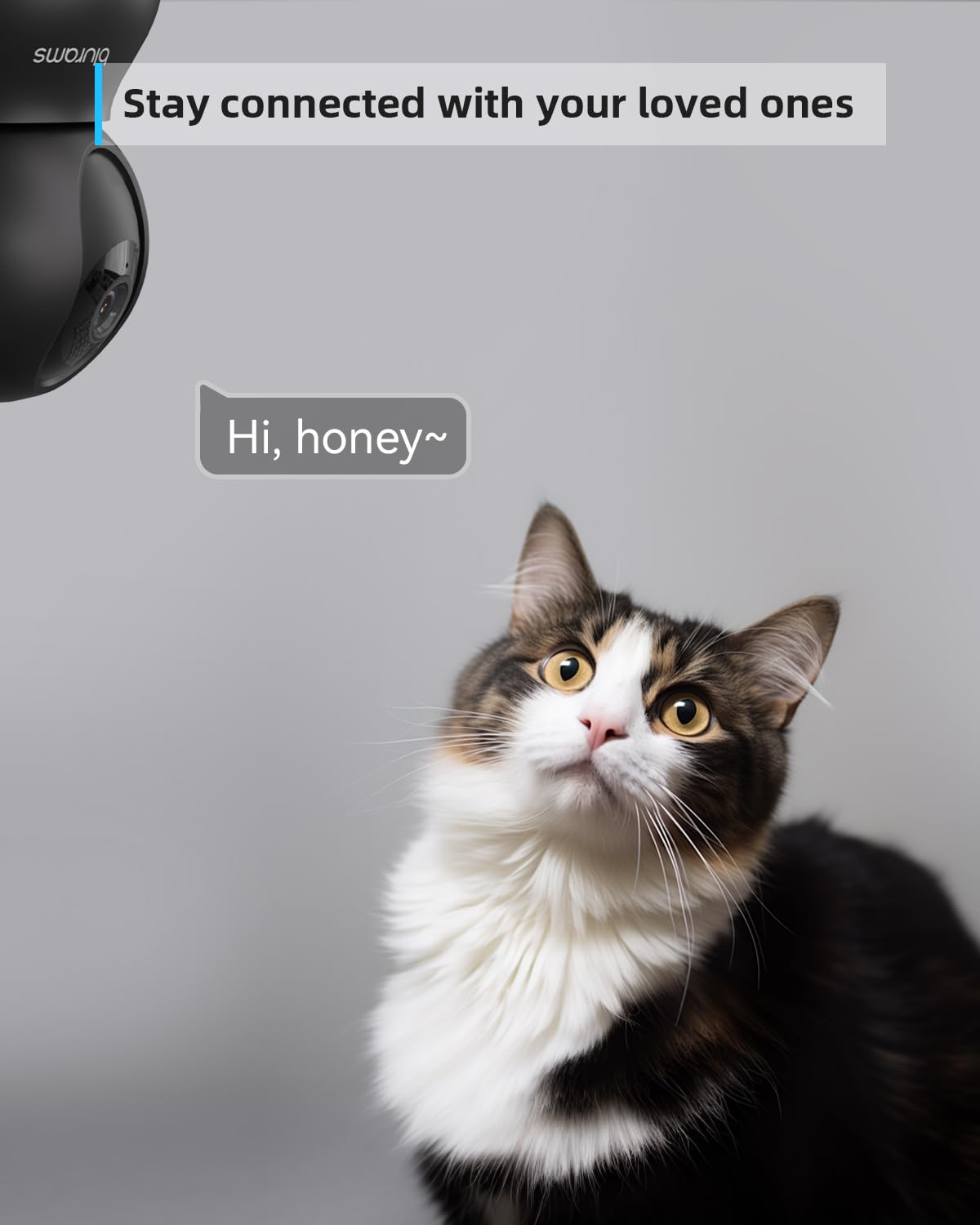 blurams Pet Camera 2K, Indoor Cameras, Dog Camera, 360° Home Security Cameras, Color Night Vision, Motion Tracking, 2-Way Talk, Cloud&SD, APP Control, Works with Alexa