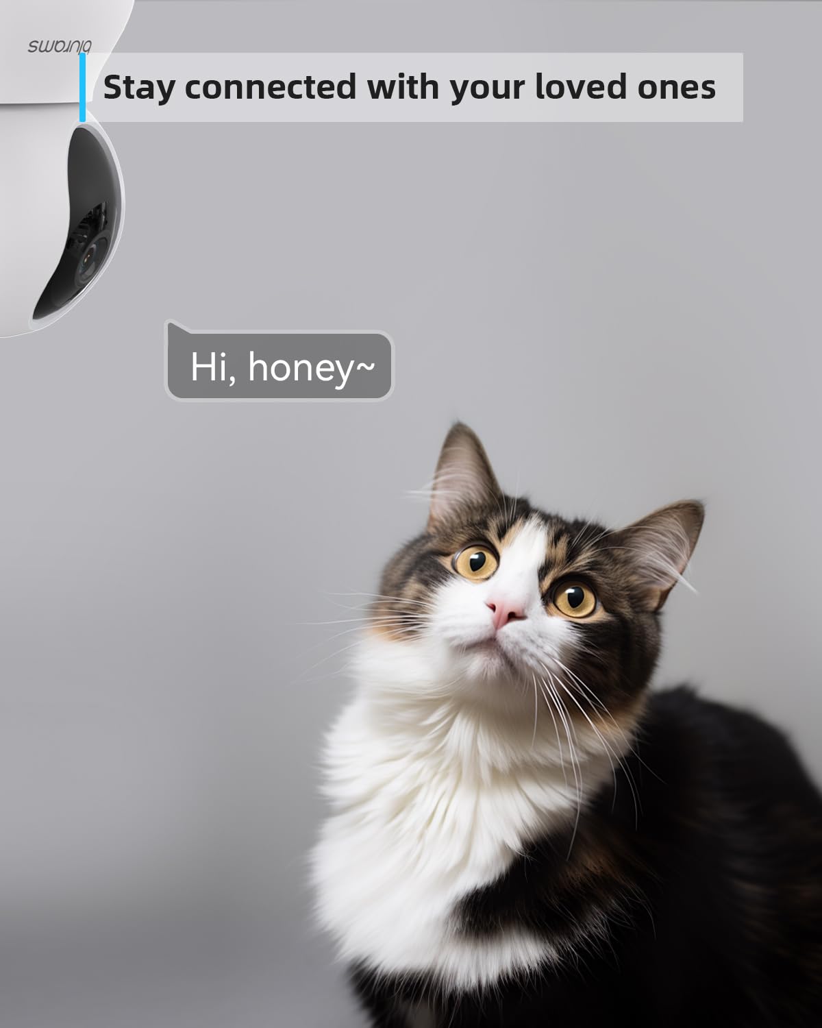 blurams Pet Camera 2K, Indoor Cameras, Dog Camera, 360° Home Security Cameras, Color Night Vision, Motion Tracking, 2-Way Talk, Cloud&SD, APP Control, Works with Alexa