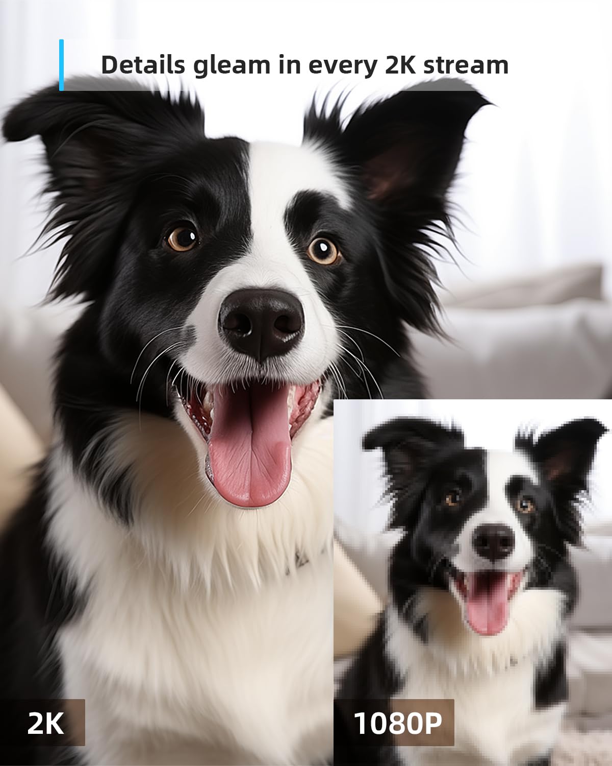 blurams Pet Camera 2K, Indoor Cameras, Dog Camera, 360° Home Security Cameras, Color Night Vision, Motion Tracking, 2-Way Talk, Cloud&SD, APP Control, Works with Alexa