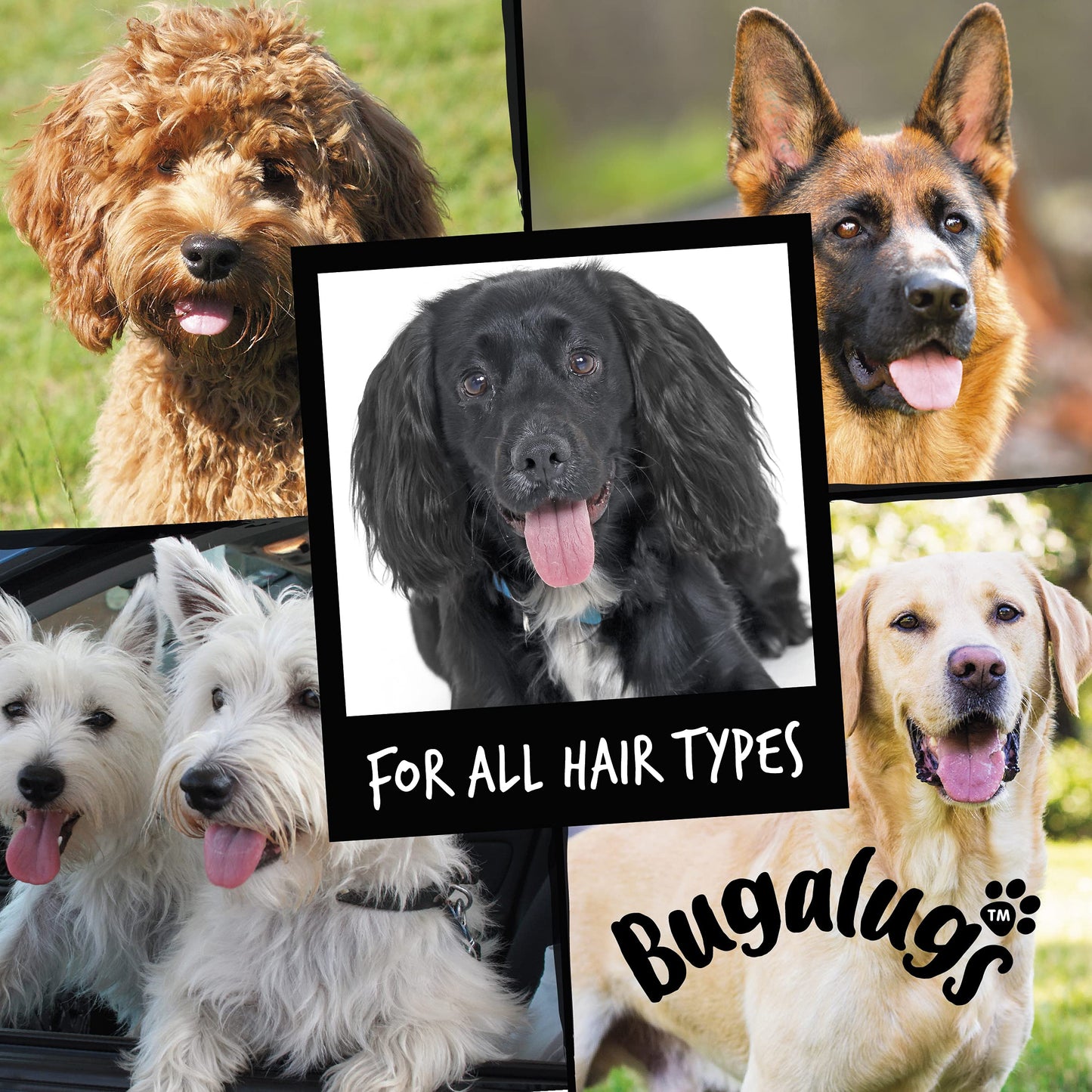 BUGALUGS Baby Fresh Dog Shampoo grooming products for smelly dogs with baby powder scent, best puppy shampoo, Vegan pet shampoo professional (625ml)